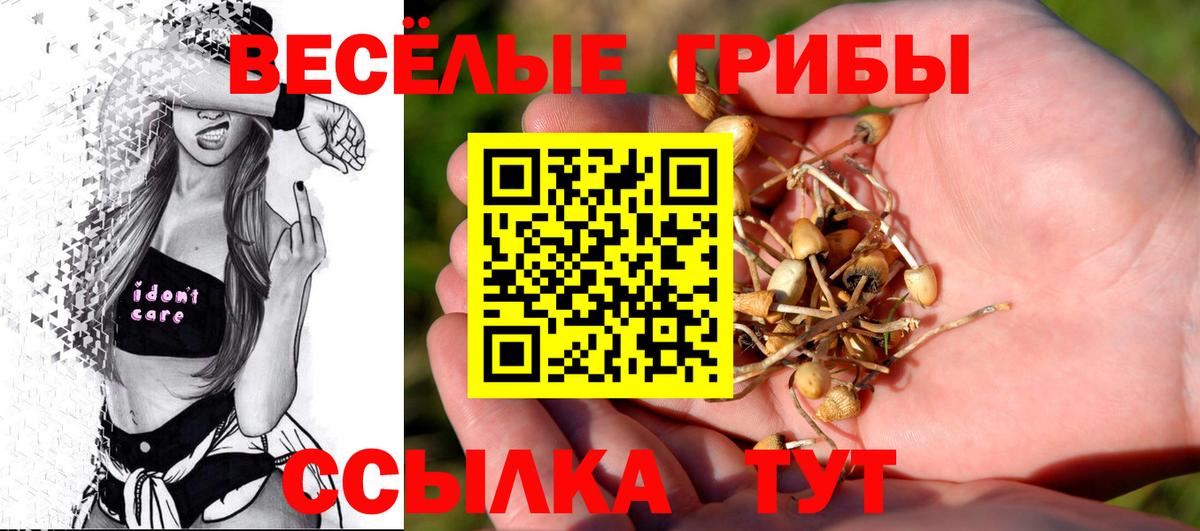 Гагарин  Псилоцибиновые грибы MAGIC MUSHROOMS  Вход с VPN  Псилоцибиновые грибы прущие грибы 