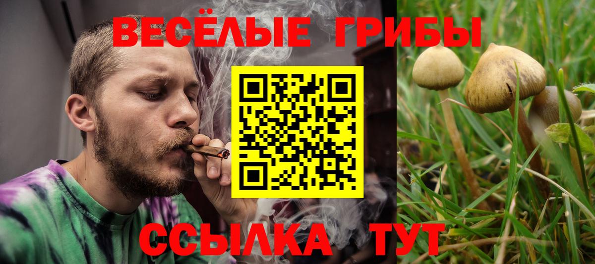 Галлюциногенные грибы GOLDEN TEACHER Гагарин